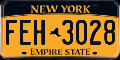 NY license plate FEH3028