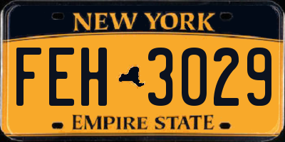 NY license plate FEH3029