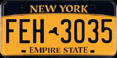 NY license plate FEH3035