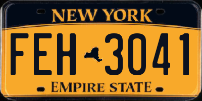 NY license plate FEH3041