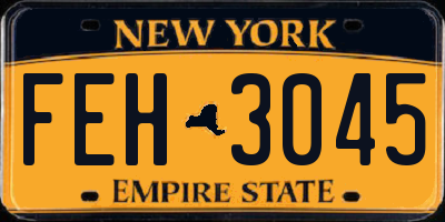 NY license plate FEH3045