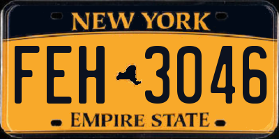 NY license plate FEH3046