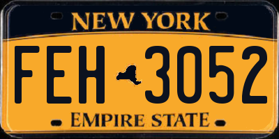 NY license plate FEH3052