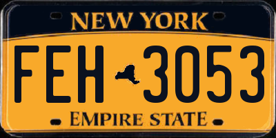NY license plate FEH3053