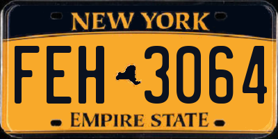NY license plate FEH3064