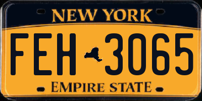 NY license plate FEH3065