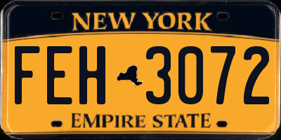 NY license plate FEH3072