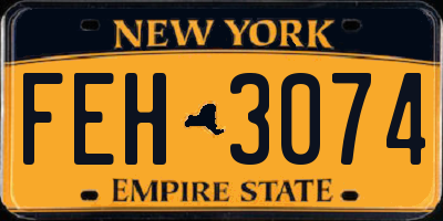 NY license plate FEH3074