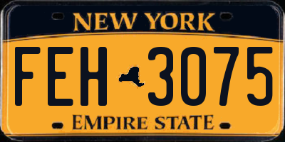 NY license plate FEH3075