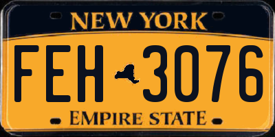 NY license plate FEH3076
