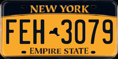 NY license plate FEH3079