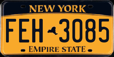 NY license plate FEH3085