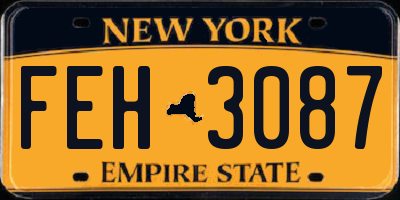 NY license plate FEH3087