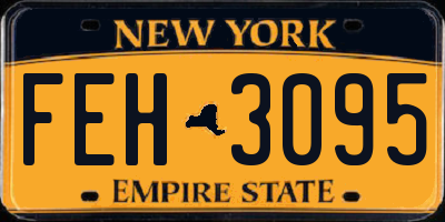 NY license plate FEH3095