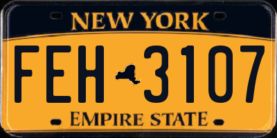 NY license plate FEH3107