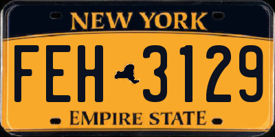 NY license plate FEH3129
