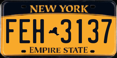 NY license plate FEH3137
