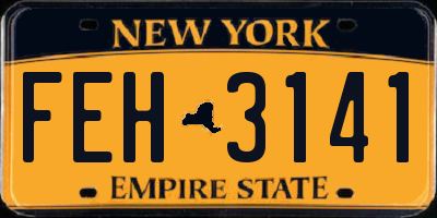 NY license plate FEH3141