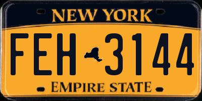 NY license plate FEH3144