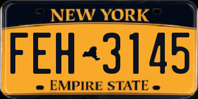 NY license plate FEH3145