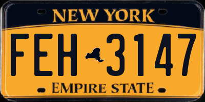 NY license plate FEH3147