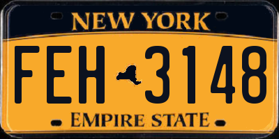NY license plate FEH3148