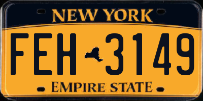 NY license plate FEH3149