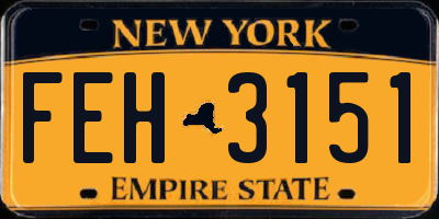 NY license plate FEH3151