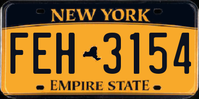 NY license plate FEH3154