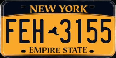 NY license plate FEH3155