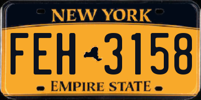 NY license plate FEH3158
