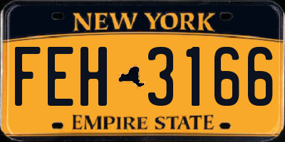 NY license plate FEH3166
