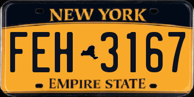 NY license plate FEH3167