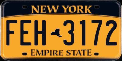 NY license plate FEH3172