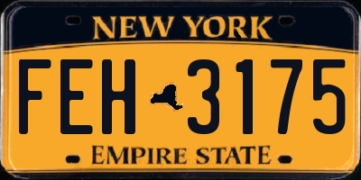 NY license plate FEH3175