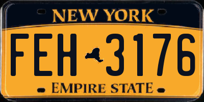 NY license plate FEH3176