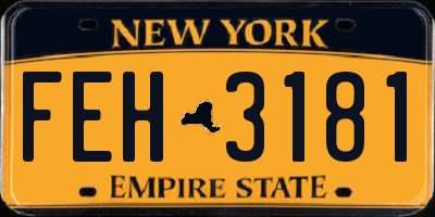 NY license plate FEH3181