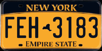 NY license plate FEH3183