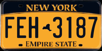 NY license plate FEH3187