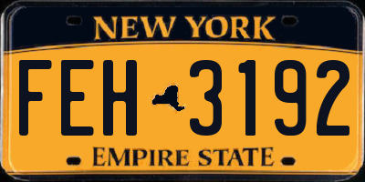 NY license plate FEH3192