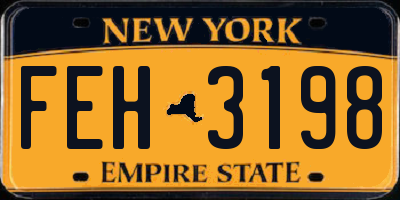 NY license plate FEH3198