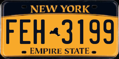 NY license plate FEH3199