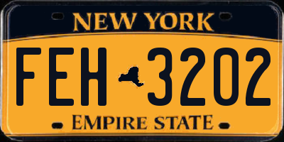 NY license plate FEH3202