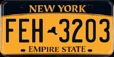 NY license plate FEH3203