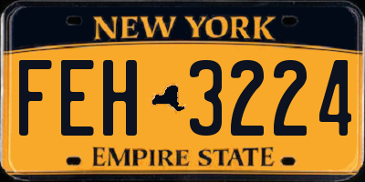 NY license plate FEH3224