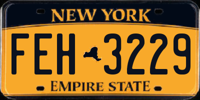 NY license plate FEH3229