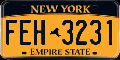 NY license plate FEH3231