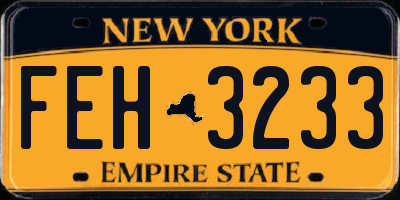 NY license plate FEH3233