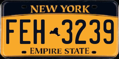 NY license plate FEH3239