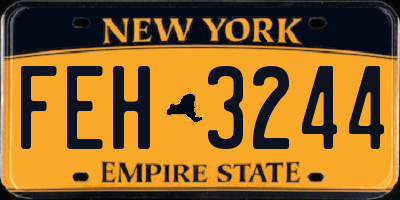 NY license plate FEH3244